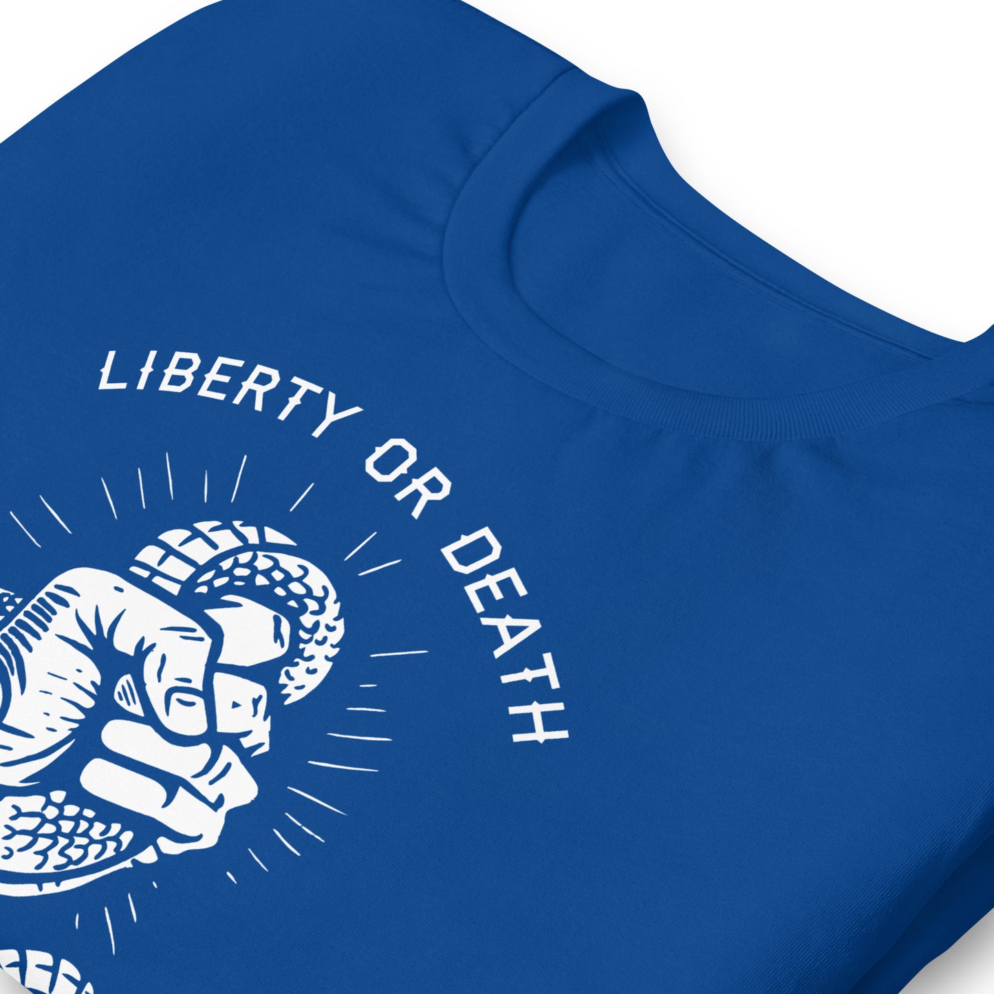 Liberty Or Death T-Shirt